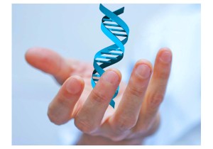 ДНК тест на родство по отцовской линии