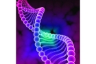 Анализ ДНК по установлению родства с умершим