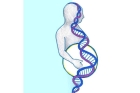 Тест ДНК определение резус-фактора плода