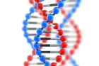 Тест Onconetix( 48 генов) 