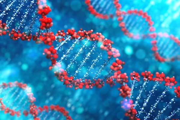 ДНК тесты на родство: что это такое, зачем и где используют?